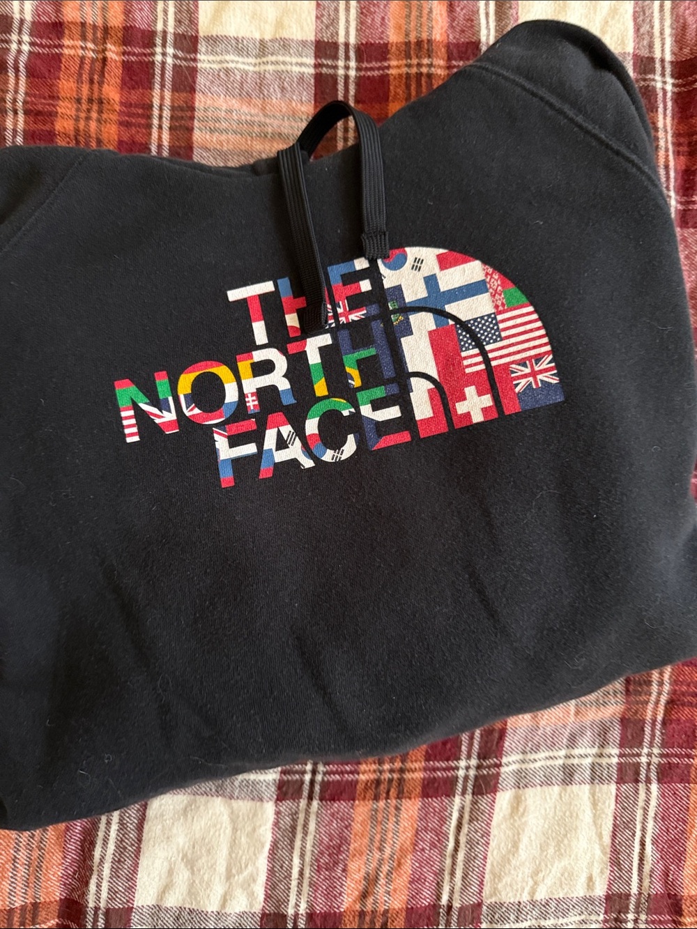 The North Face Black Pullover Hoodie with Multicolor Flag Logo - Picture 2 of 4